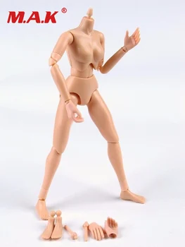 1/6 scară CG CY fata de san mici nud femei corp de femeie tânără de acțiune figura L1.0A papusa jucării