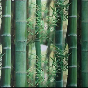 100cm Lungime Statice se Agață de Sticlă de Film de Vinil Bambus Mat de Protecție a vieții private Reutilizabile Detașabil Acasă Fereastră Decorare Autocolant