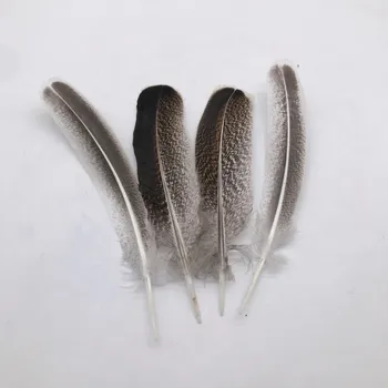 50pcs/lot naturale penaj 3 dimensiuni de 25-35cm gâscă pene de curcan pene pană de vultur