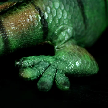 66cm Iguana Verde Șopârlă Viața Reală Jucărie de Pluș reptilă cu sânge Rece de Simulare Reptilia cadrul sauria Animale Împăiate Papusa Cadou Pentru Copii