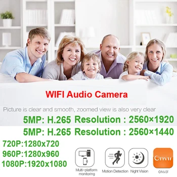 Audio 5MP Camera IP Wifi Două sensuri Interfon Voce de la Distanță de Securitate Cctv de Supraveghere de Interior Cam Wireless Onvif HD Camera JIENUO