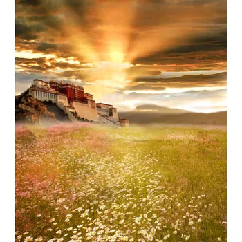 Tibet Potala soare fundaluri foto vinil peisaj portret căsătorie fotografii fundaluri foto studio recuzită photocall CM-6775